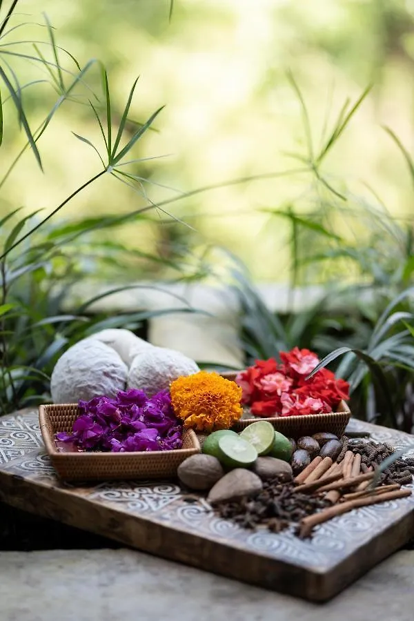 Vije Boutique Resort & Spa Ουμπούντ